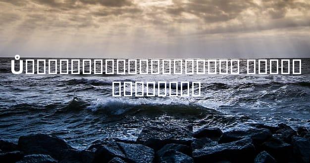 Ů�������ǲ��Ǵ�������� ����